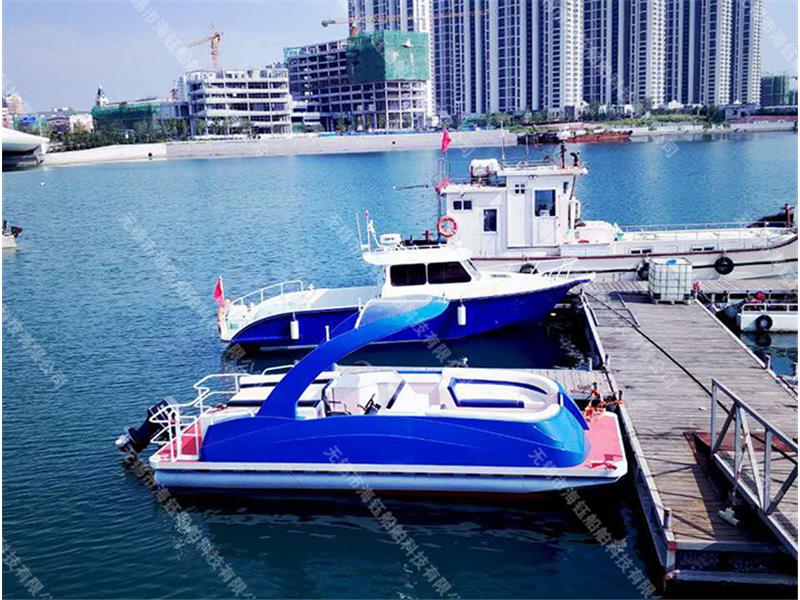 Catamaran pontoon boat